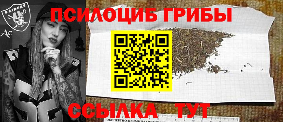 Галлюциногенные грибы GOLDEN TEACHER  Вход с VPN  Буйнакск 